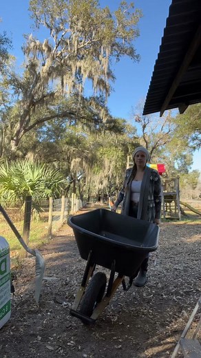 Cleaning the Chicken Coop: Step-by-Step Guide