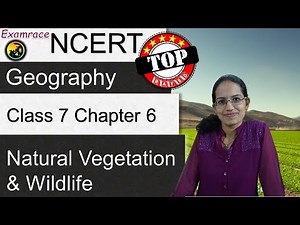 NCERT Class 7 Geography Chapter 6: Natural Vegetation & Wildlife (Examrace) | English | CBSE