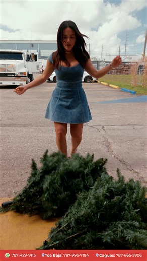 La Navidad terminó, pero las ofertas siguen. Llámanos al 787-995-7184 o visítanos en: 🔹𝗖𝗮𝗴𝘂𝗮𝘀 -Carr #1 km 29.7 Bo. Rio Cañas al lado de Medina Auto Nissan. 🔺𝗧𝗼𝗮 𝗕𝗮𝗷𝗮 - Carr. #2 Km 17.0 Bo. Candelaria frente a Adriel Nissan. *Términos y condiciones aplican. | Caribbean Tile