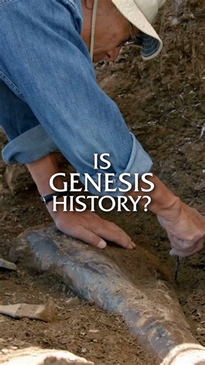 Back at the Hanson Ranch bone bed fossil repository, taphonomist Art Chadwick explains how various aspects of the fossil record--including dinosaur footprints, death postures, and dinosaur eggs--fit with the idea of a global Flood. #isgenesishistory #fossils #christian #dinosaur #flood | Is Genesis History