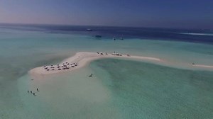 57K views · 139 shares | LiveAboard.com on Reels | Facebook