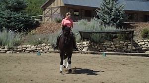 13K views · 139 reactions | The Parelli Levels Program, reimagined...