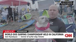 Canines catch the waves at World Dog Surfing Championships