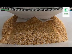 SPH's Automatic Seed Processing Project for Corn (maize)