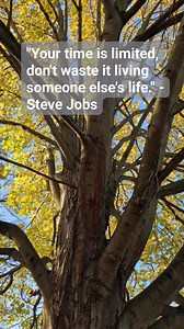 7.4K views · 31 reactions | Awesome Motivational Quotes #mentalhealth #shotokankarate #inspiration #karate #martialarts #mentalhealthmatters | Shotokan Karate Page | Facebook