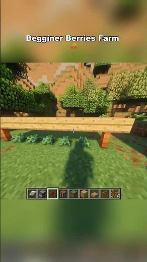 Minecraft Easy Starter Sweet Berries Farm 🍓 | Beginner Friendly Survival Guide #shorts #minecraft