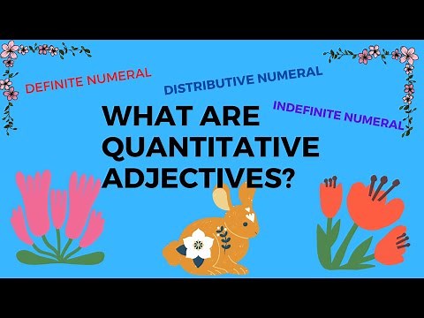 What are quantitative adjectives?