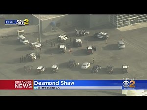 Pursuit On Runways At LAX