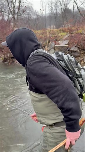 Iron Mike using a Lively Legz 30’ Mono Leader and a Natural Walt’s Worm to land a nice wintertime ❄️ wild brown trout 🎣 . Livelylegz.com Tie One On! #flyfishing #winterfishing #euronymphing | Lively Legz Fly Fishing