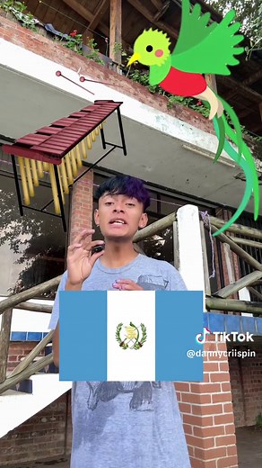 Haciendo a mi ave nacional con lana #lifehacks #mespatrio #guatemala