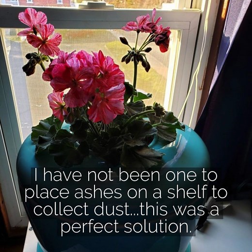 3.1K views · 589 reactions | Check out what families are saying about The Living Urn Indoors/Patio - a beautiful living memorial that can include a loved one's ashes... https://www.thelivingurn.com/products/the-living-urn-indoors | The Living Urn | Facebook