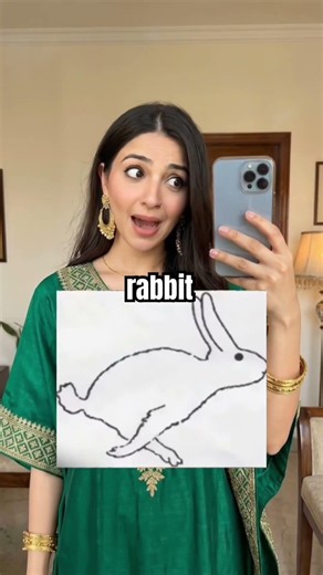 What did YOU see FIRST — a DUCK or a RABBIT? #shorts #shortsfeed