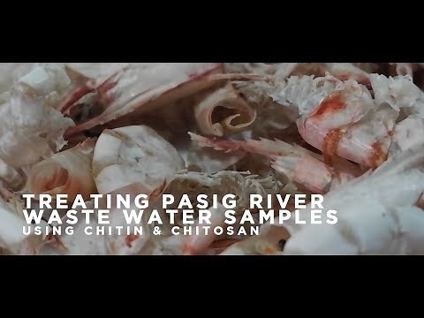 Chitin & Chitosan in Waste Water Treatment Research