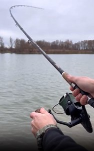 Catch of the Day: The Best Feeder Fishing Techniques Revealed