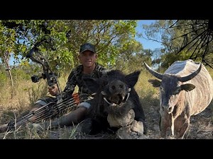 “Charged by a Massive Bull – Bowhunting Boars and Bulls in Northern Australia”