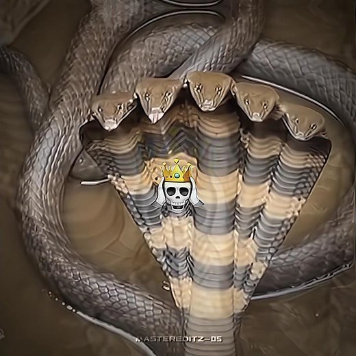 Repeat it again 💀 #crazyteam