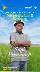 Musrikan, petani asal Pati, Jawa Tengah, membuktikan bahwa masa depan bisa dipersiapkan sejak dini melalui pertanian. Di usia 50 tahun, ia sukses mengelola lahan padi sekaligus membudidayakan sapi premium dengan bobot rata-rata mencapai 1 ton. Bagi Musrikan, bertani dan beternak bukan sekadar pekerjaan, melainkan jalan hidup yang memberi ketenangan dan keberkahan. Sejak muda, Musrikan konsisten bertani dan beternak sembari bekerja di bidang pestisida. Usaha yang awalnya sampingan itu kini menjad