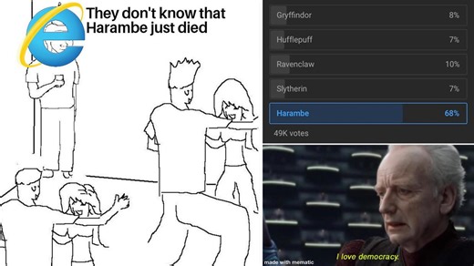 15 Memes Honoring The Famous Gorilla Harambe Nine Years After His Death