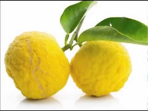 Health Benefits of Yuzu Fruit