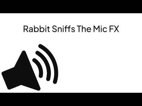 HD - Rabbit Sniffing Sound Effect
