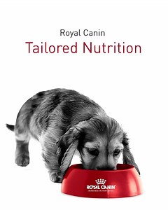 1.2K reactions · 115 shares | With over 200 formulas, and 60 breed diets, Royal Canin nutrition can bring out the magnificence in your pet. Find the formula for your dog here: https://bit.ly/2XxNJZt | Royal Canin | Facebook