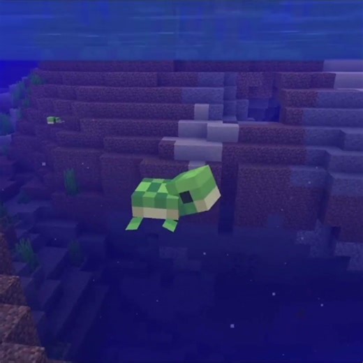 Cutest Minecraft baby mobs: NUMBER 2🐢