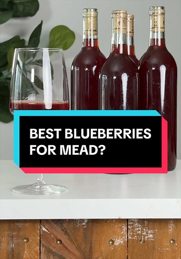 Best Blueberries for Mead: Frozen Wilds Win