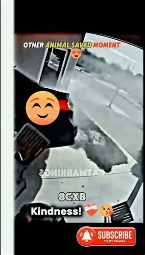 🐕🚨 Animals Saving Humans – The Most Emotional & Heroic Moments Ever! #cinematic #respect