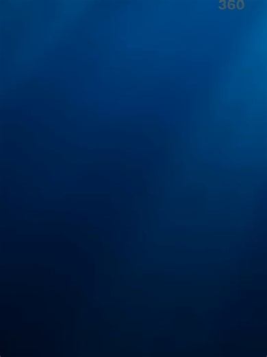 Blue Whale vs. The Bloop: Massive Size Comparison