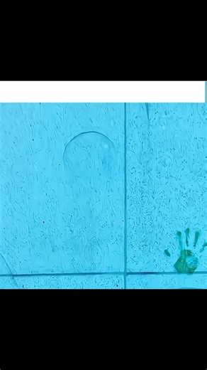 33K views · 873 reactions | So Mum High jump movement襤 | LateNight Tech | Facebook