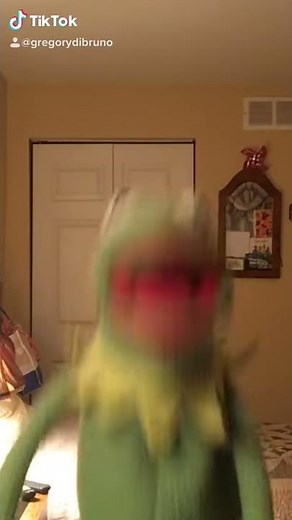 Kermit goes crazy!😂😂😂😂😂😂 Again!
