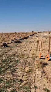 Barika Batna #batna #PistachiersenAlgérie #فسدق #batna_algérie #Batna #sarl_LOUDINI_AGRO #barika #algeria #pistachiers #farming #agriculturelife #pistachio #pistache | SARL loudini AGRO IND