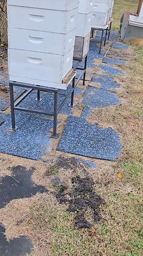 Locally built steel bee hive stands are available now! DM me if you are interested. | Bama Bees | Facebook