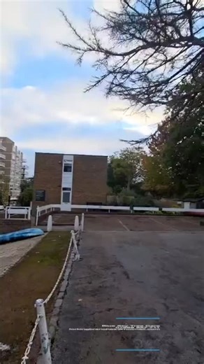 1.1K views · 54 reactions | 望 Dead Cedar by the river in #Teddington with @thetreecompanylondon  And managed to save some of wood for @fallenandfelled 蝹 #grapplesaw #treeremoval #cedar #cedartree #cedartrees #treesurgeonlondon #teddingtonlocal #london #londontrees #treestreestrees #treesurgeonlondon | Blue Sky Tree Care | Facebook