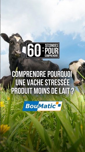 ⏳ 60 seconds to understand why a stressed cow produces less milk 🐄