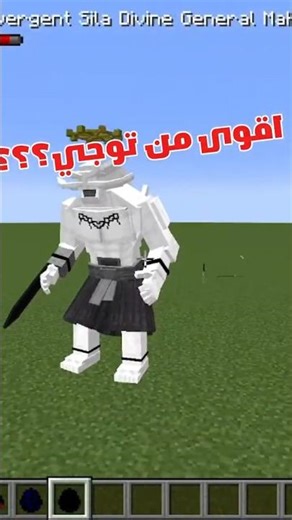 توجي ضد ماهوراجا