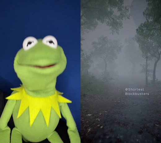 #duet with @shortestblockbusters that’s no rock… #kermitthepuppet #viral #funny #comedy #memes #haha #lamo #kermitthefrog #kermit