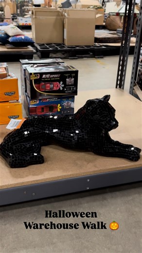 Something spooky this way comes! 👻🦇 Our Warehouse Walk is filled with oddities, curiosities, and incredible treasures that fit the Halloween mood. Which unusual animal find in the video is your favorite? Let us know below! 👇 Explore all the unique items hitting auction—link in bio! | Everything But The House - EBTH