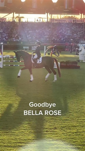 Bella Rose Equestrian: Mastering Dressage with a Legend