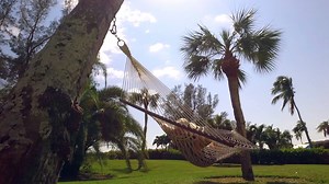 334K views · 12K reactions | Nothing but blue skies ahead for Sanibel...