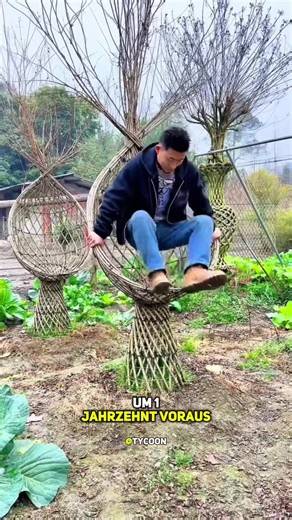 Innovative Möbelherstellung: Bäume wachsen zu Stühlen