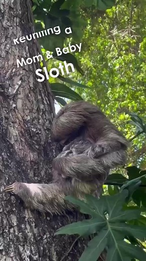 30M views · 1M reactions | 殺We are happy to announce that we were...