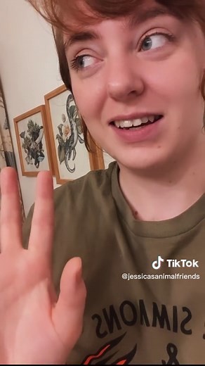 Do Frog Bites Hurt? Understanding Frog Behavior