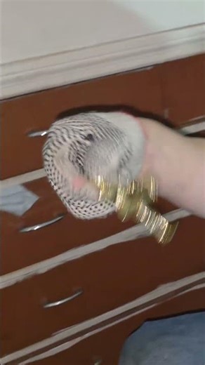 FOUND $1,000 in HOARDER PURSE!