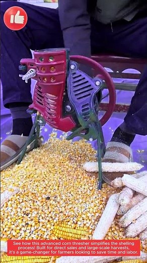 Direct Corn Shelling Machine in Action! | Fast & Efficient Harvesting 🌽🚜