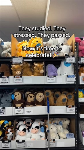 Milestones deserve more than a high five. Celebrate them with a stuffed animal, your message, and a joyful unboxing they’ll remember. | SendAFriend
