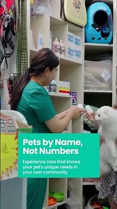 Local Pet Stores: Personalized Service Excellence