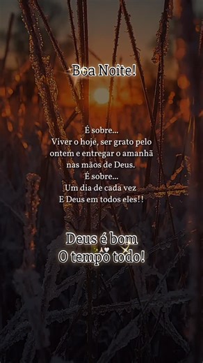 Liliam Vargas on Instagram: "Boa Noite!! Mateus 6:34, onde Jesus diz: "Não vos inquieteis, pois, pelo dia de amanhã, porque o dia de amanhã cuidará de si mesmo. Basta a cada dia o seu mal"Esse versículo nos ensina a focar no presente e confiar na providência divina para as necessidades futuras!!! #deusnocomando #versículo #deusebomotempotodo #boanoite #boanoite🌙"