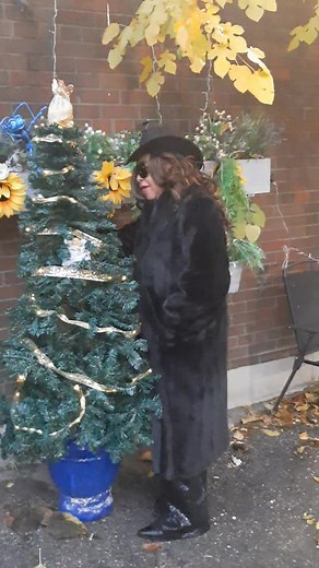 13 reactions · 3 comments | Love ❤️ My Outside Christmas Tree | Mary Alvena Walls | Facebook