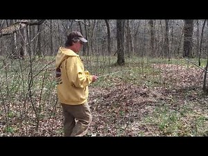 How to find Spring Water.